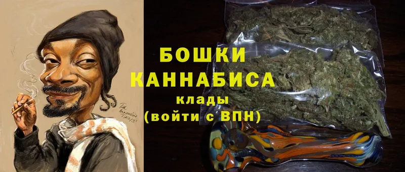 Конопля OG Kush  Новосиль 